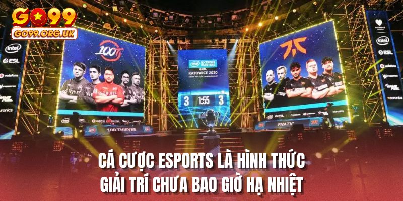 Cá cược Esports là hình thức giải trí chưa bao giờ hạ nhiệt